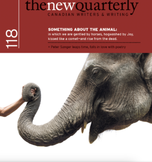 Issue 118