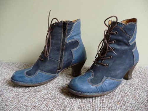 Blue Boots Theresa Kishkan