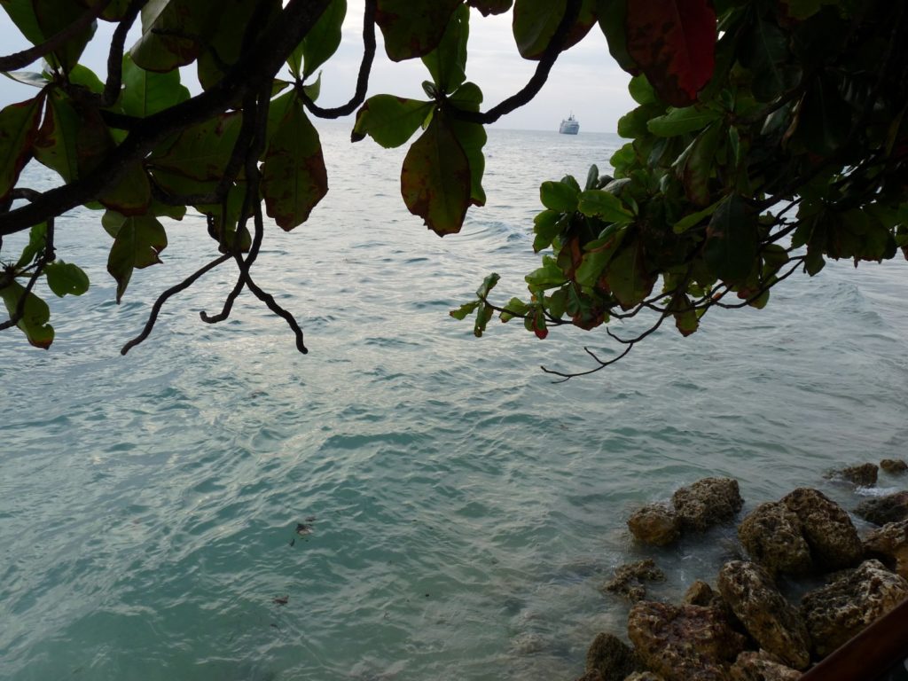 Ship through trees, Tanzania 2009. Photo: Farah N. Mawani