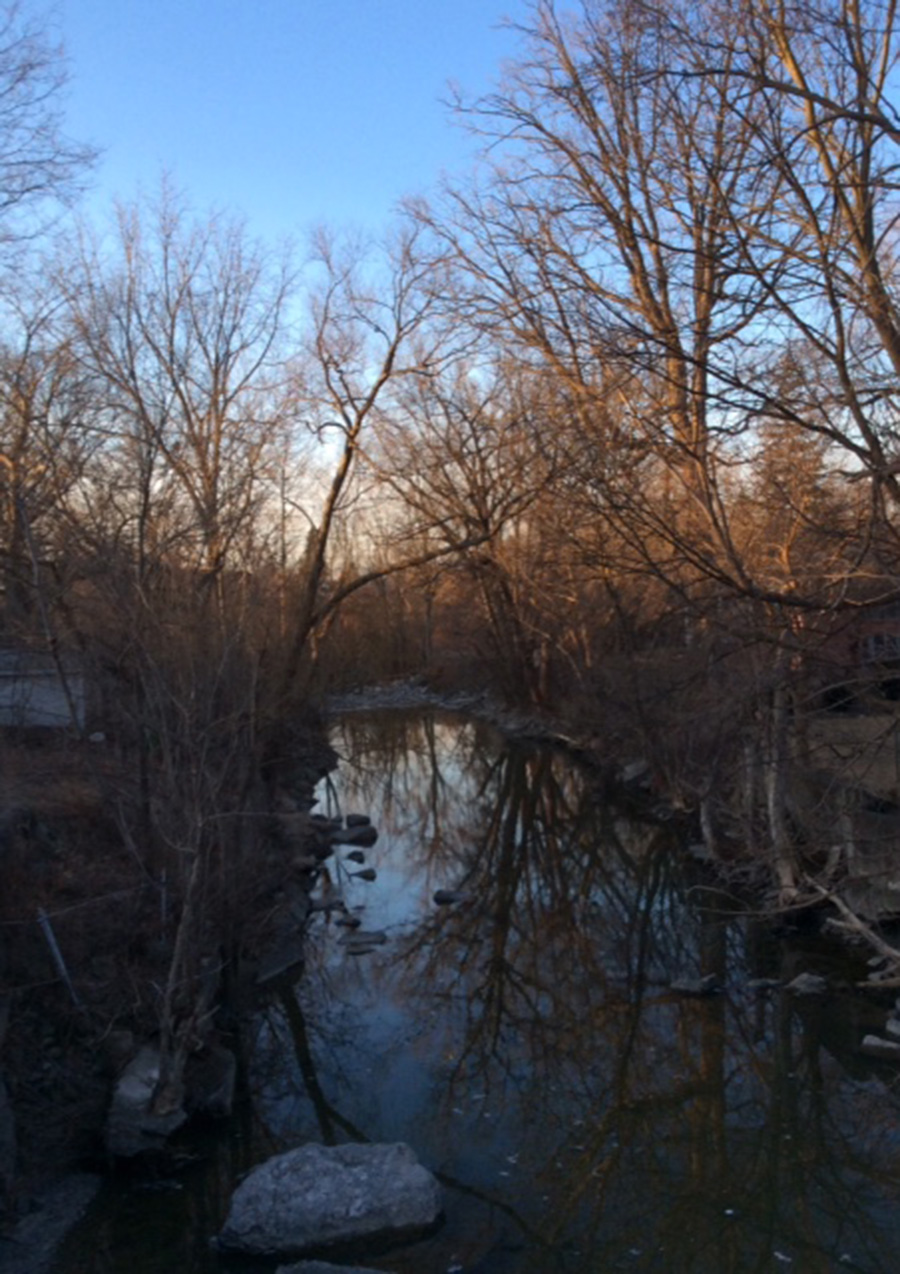 Carole Giangrande Writing Space: the footbridge over Mimico Creek