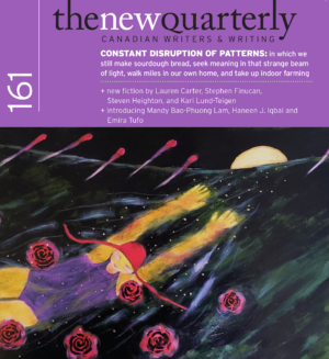 Issue 161: Constant Disruptions of Patterns