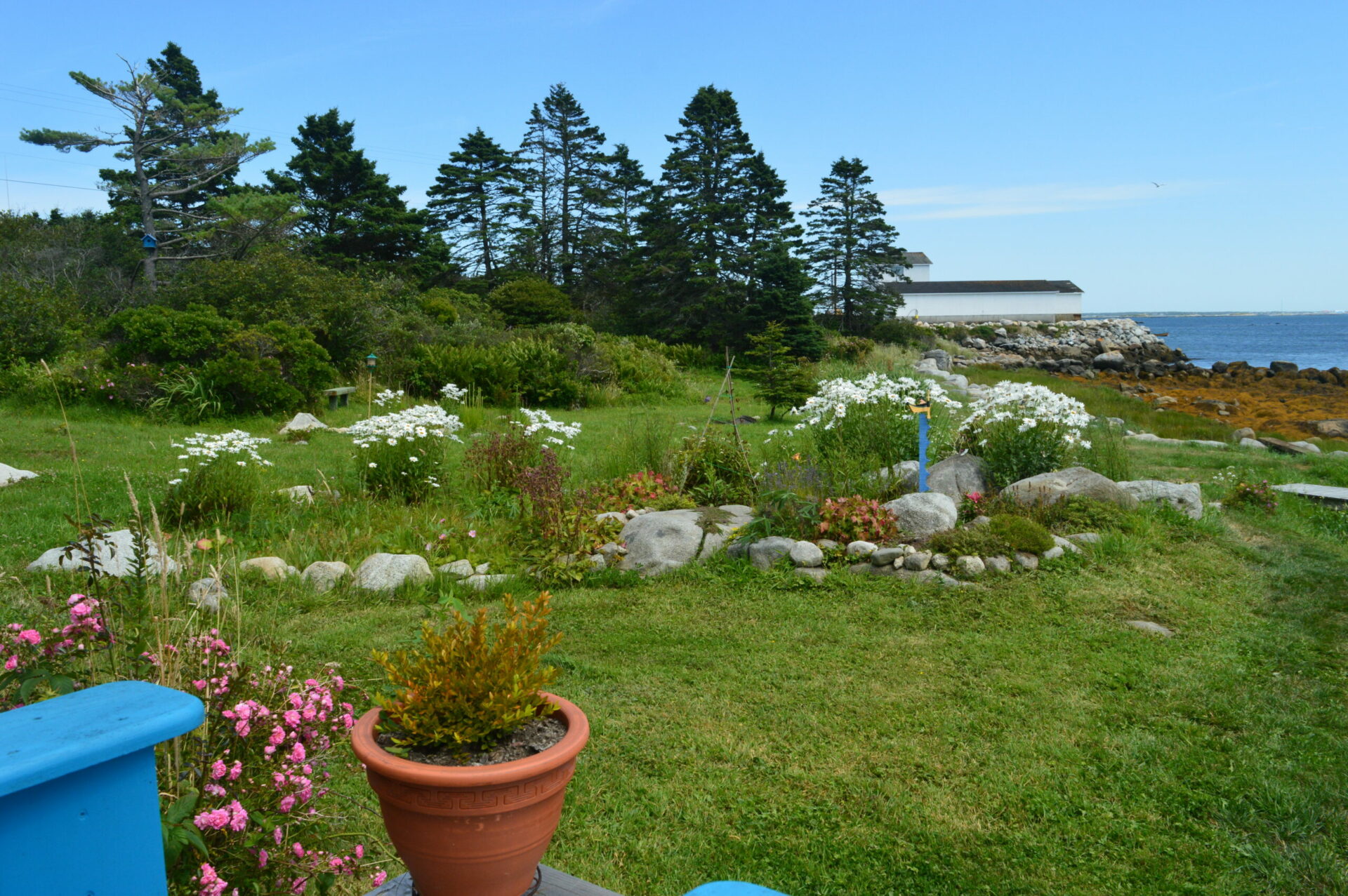 Tammy Armstrong's Writing Space The New Quarterly
